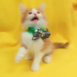 ノルウェージャン・フォレスト・キャット - 画像 (2)